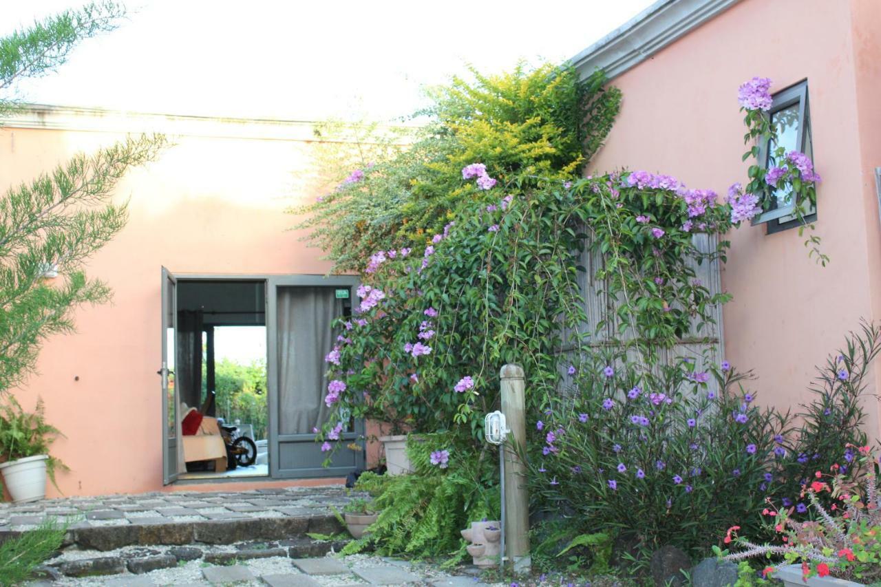 Gite Des Acacias Union Vale Exterior foto